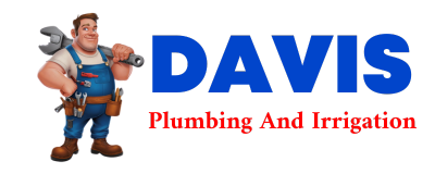 Trusted plumber in ZIONVILLE